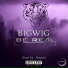 BigWig