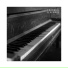 Piano Dreams