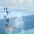 李乐乐