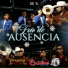 Perdidos De Sinaloa, Banda Coyulitos, Banda AT
