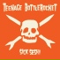 Teenage Bottlerocket