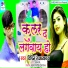 Vipin Raj Yadav