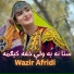 Wazir Afridi