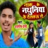 Ashish Paremi