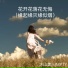 冰山美人, MyTy