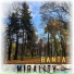MIRALITY