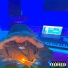 Jacin Trill, Dopebwoy
