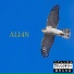 ALI4N