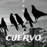 Perco333