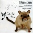 Indie Mice
