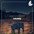 VANE