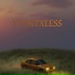 VVORTXLESS