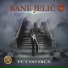 Bane Jelic