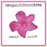 Drops of Chocolate