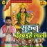 Niranjan Vidyarthi