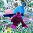 Adventure Time (S02E04)
