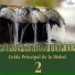 Cobla La Principal de la Bisbal