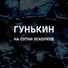 Гунькин