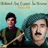 Mihemed Arif Cizrawi, Isa Berwari