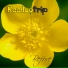 Keellootrip