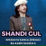 Shandi Gul
