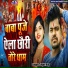 Vipin Ray