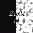 ZooM P