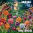 Lofi Calm