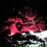 FADE031