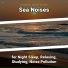 Ocean Sound Effects, Ocean Sounds, Nature Sounds