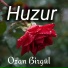 Ozan Birgül