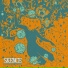Skence