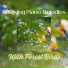 symphony orchestra sound of nature