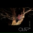 QLAPs