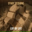 LoFi of Life