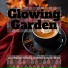 Glowing Garden
