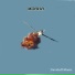 Davidoff Music