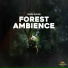 Panda Nature, Panda Ambience, Panda Music