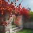 养生音乐盒