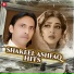 Shakeel Ashfaq