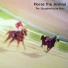 Horse the Animal
