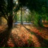 BAGH3ERA