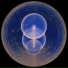Astronomical Telegram
