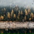 Bipeula
