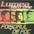 Foisorul de foc