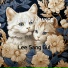 Lee Sang Gul