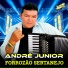 André Junior