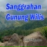 Cuk Widiyanto