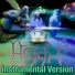 HGich.T