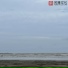 一只千纸鹤